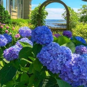 Meet your Posher, An